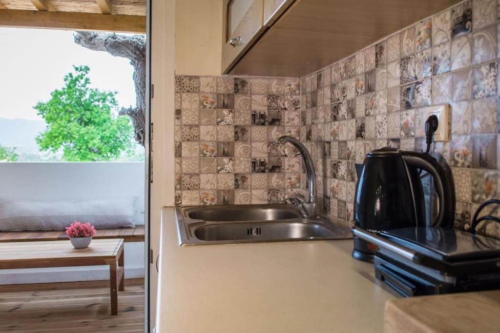 Vila Alfa House W/ View & Barbeque In Pythagorion Exteriér fotografie